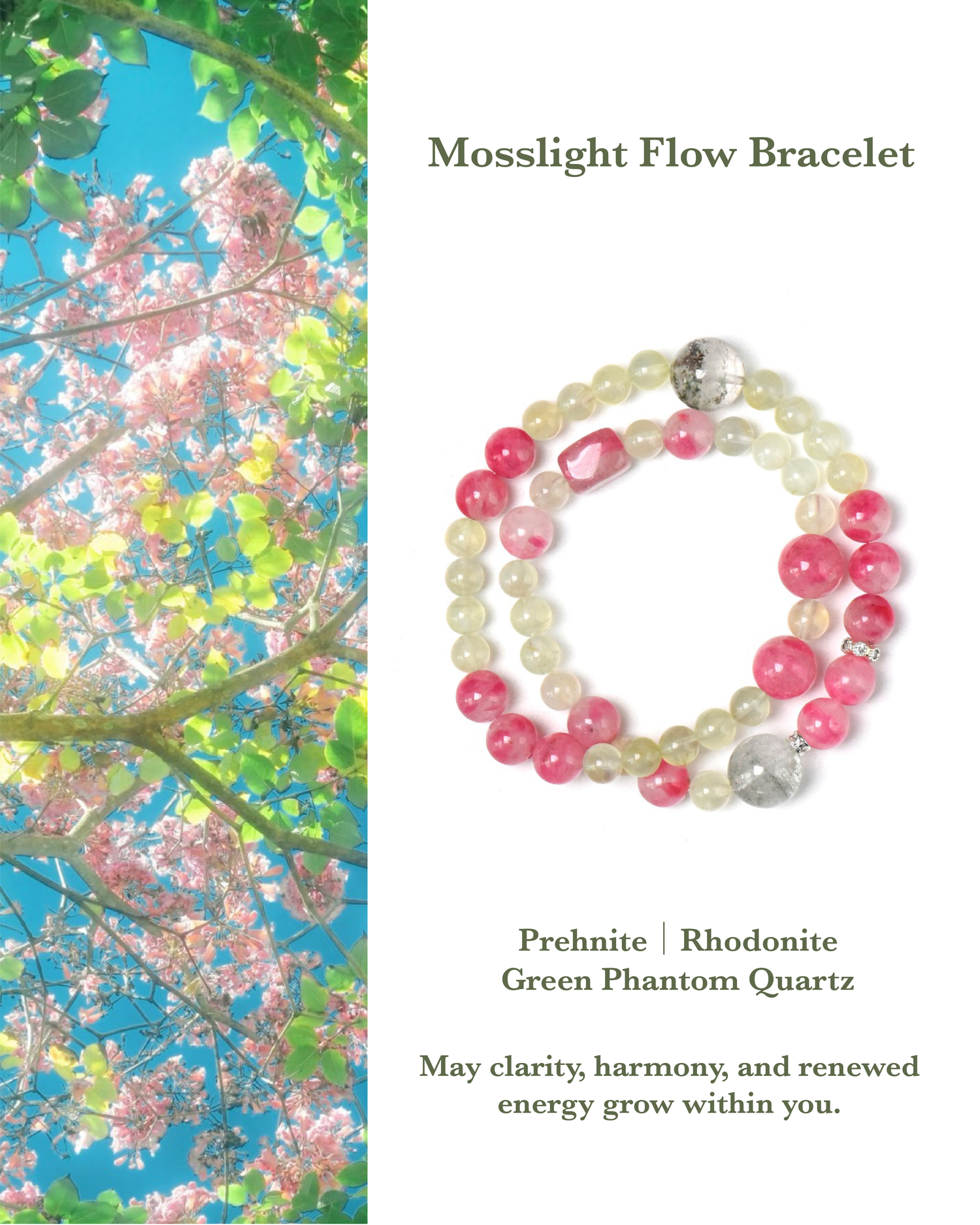 Vernal Bloom Collection